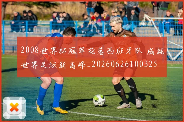 2008世界杯冠军花落西班牙队 成就世界足坛新高峰_20260626100325