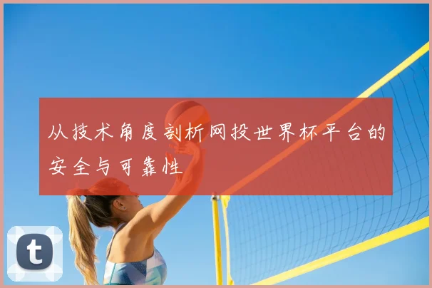从技术角度剖析网投世界杯平台的安全与可靠性