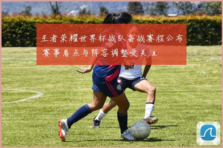 王者荣耀世界杯战队备战赛程公布 赛事看点与阵容调整受关注