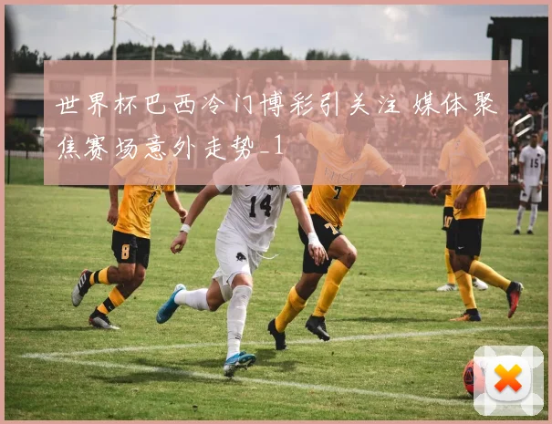 世界杯巴西冷门博彩引关注 媒体聚焦赛场意外走势_1